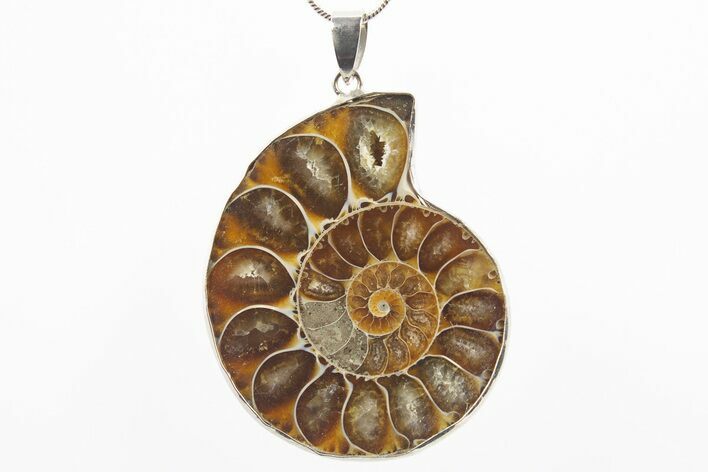 Fossil Ammonite Pendant - Million Years Old #306470